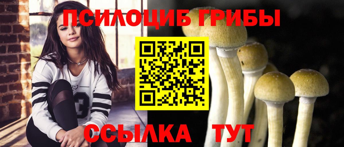 Псилоцибиновые грибы GOLDEN TEACHER  Вход с VPN  Железногорск 